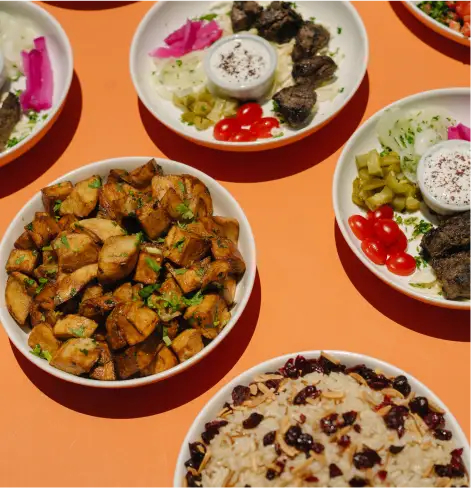 Colorful spread of Mediterranean plates featuring chicken kabob, beef shawarma, vermicelli rice with cranberries, and dips served at Aladdin Garden Oaks in Houston.