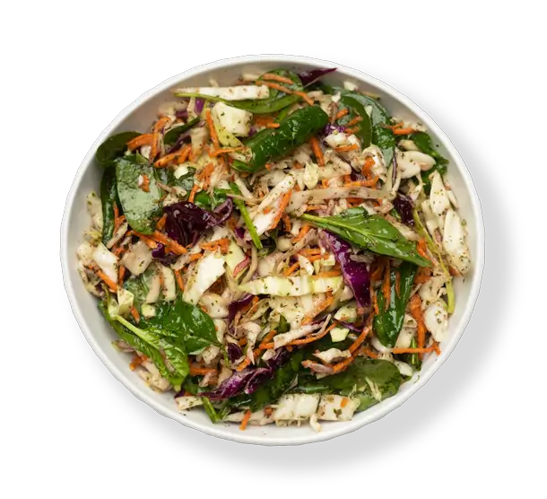 Fresh cabbage salad with shredded carrots, herbs, and spinach tossed in olive oil dressing from Aladdin Mediterranean Cuisine in Houston